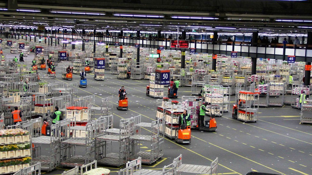 Royal FloraHolland managementupdate