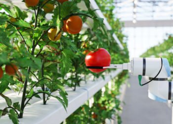 greenportwestholland informatiebijeenkomst human capital