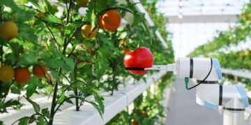 greenportwestholland informatiebijeenkomst human capital